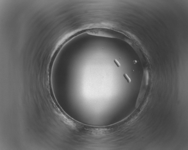 X0000078011184200611031422