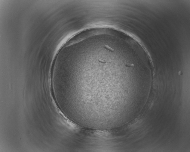 X0000078011191200611031422