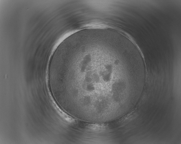 X0000078011195200611031422