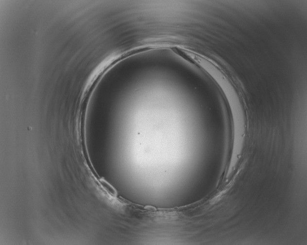 X0000078011196200611031422