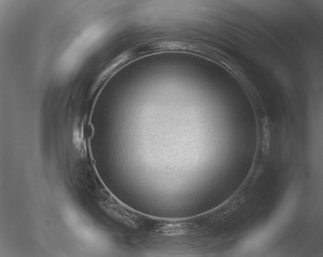 X0000078011198200611031422