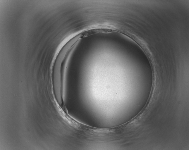 X0000078011200200611031422