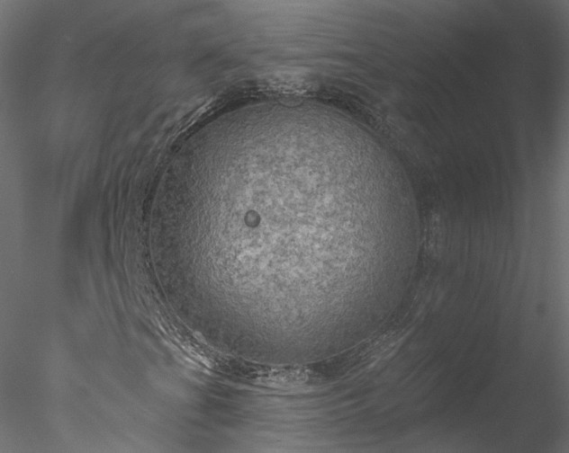 X0000078011201200611031421