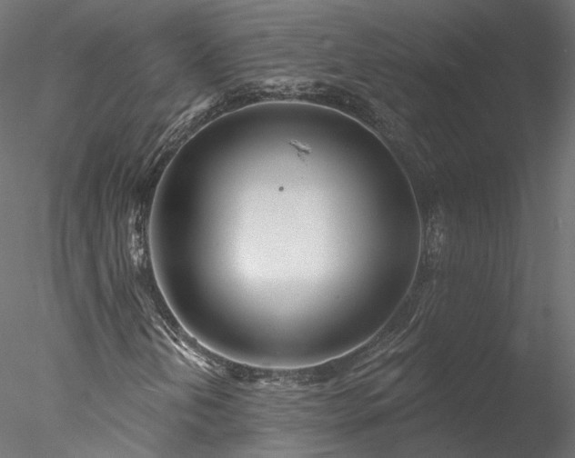 X0000078011202200611031421