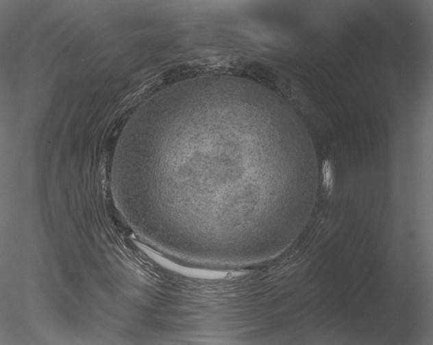 X0000078011203200611031421