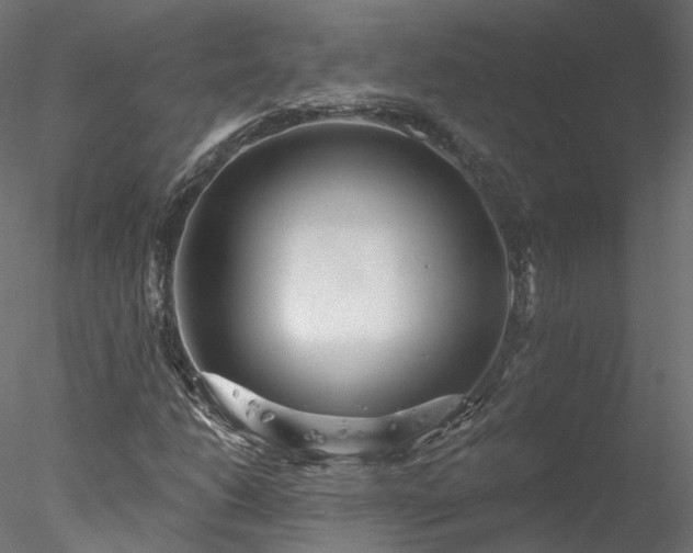 X0000078011206200611031421