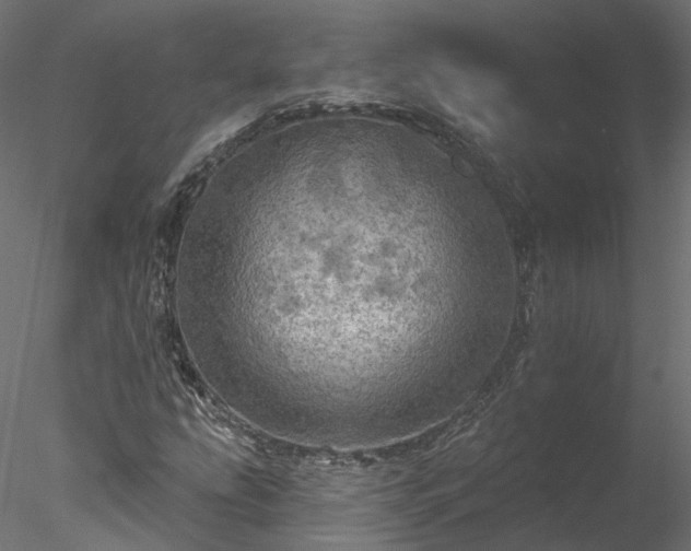 X0000078011207200611031421