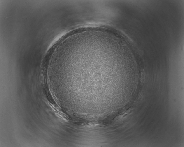 X0000078011208200611031421