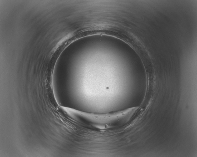 X0000078011210200611031421