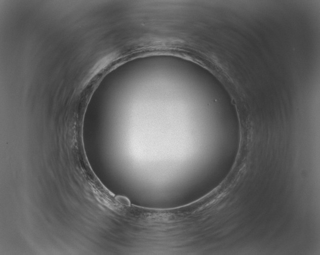 X0000078011211200611031421