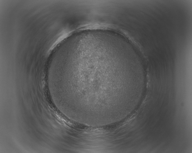 X0000078011213200611031421