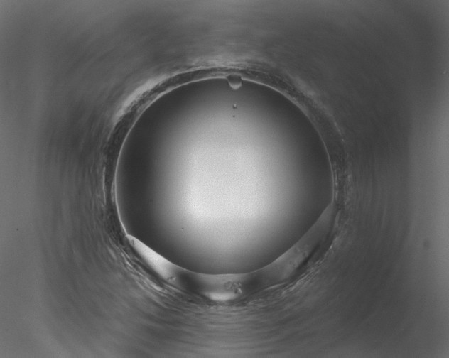 X0000078011214200611031421