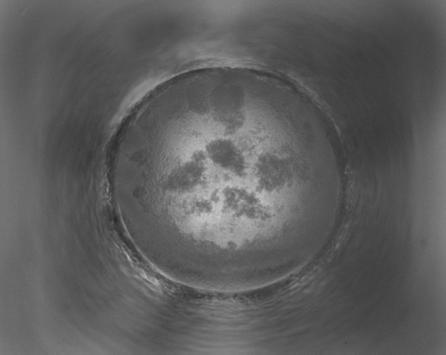 X0000078011215200611031421