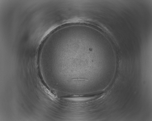 X0000078011216200611031421