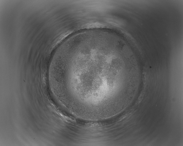 X0000078011217200611031421