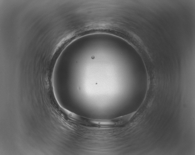 X0000078011218200611031421