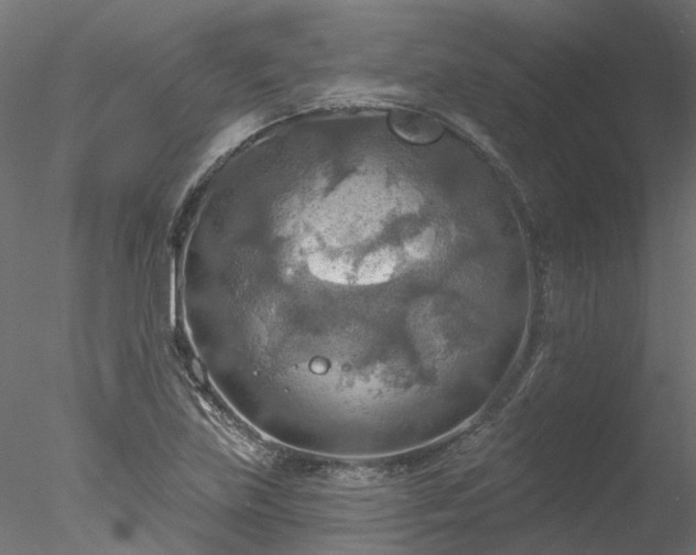 X0000078011219200611031421