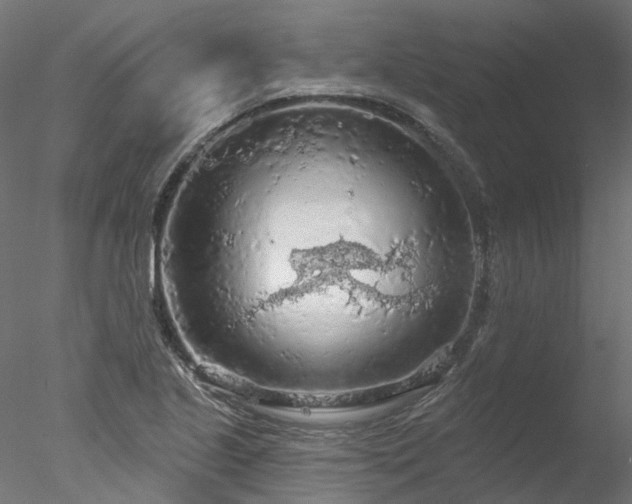 X0000078011221200611031421