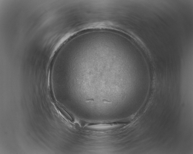 X0000078011224200611031422