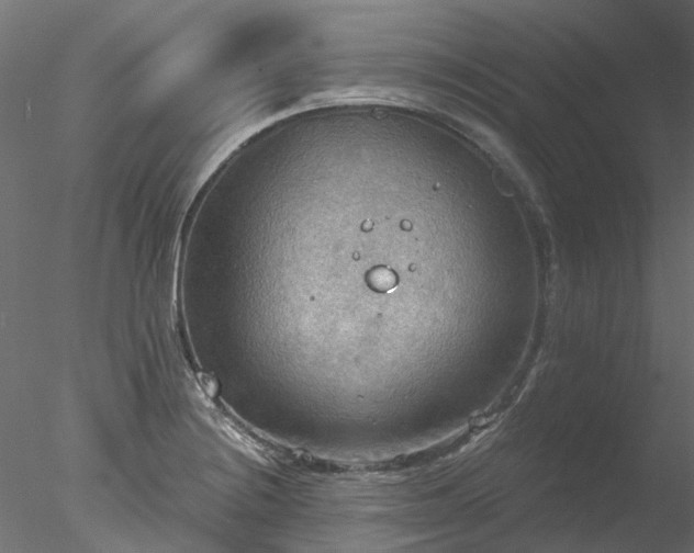 X0000078011228200611031422