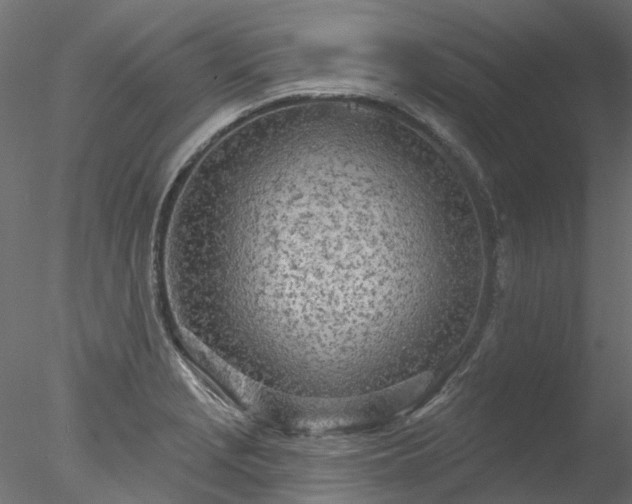 X0000078011229200611031422