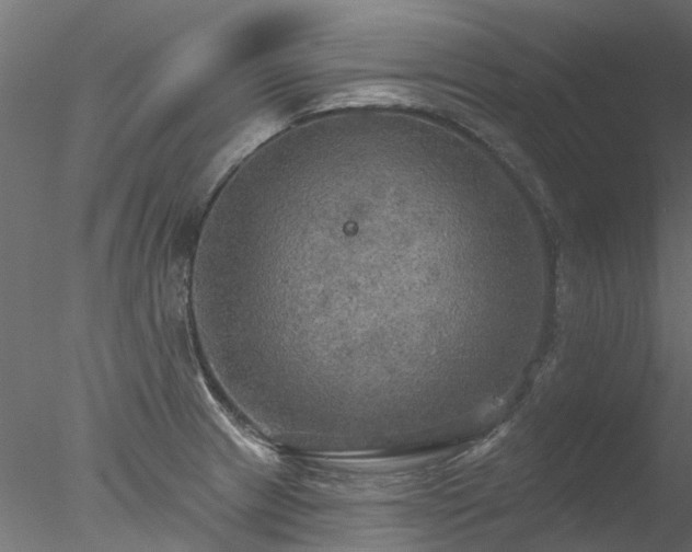 X0000078011233200611031422