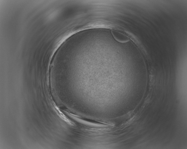 X0000078011236200611031422