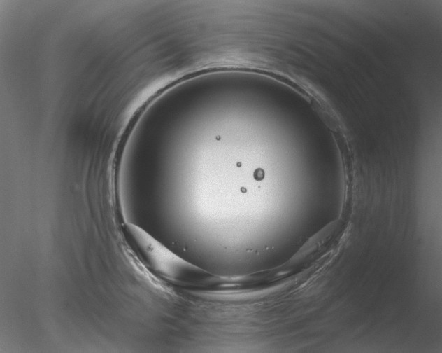 X0000078011238200611031422