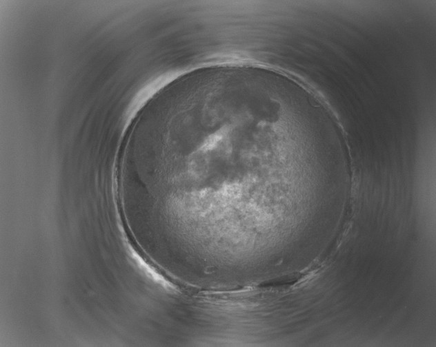 X0000078011239200611031422