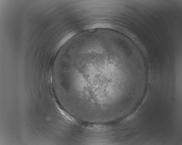 X0000078011241200611031422