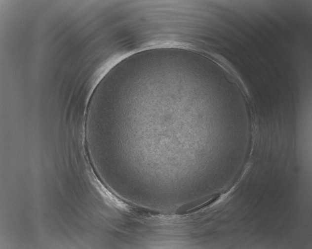 X0000078011244200611031422