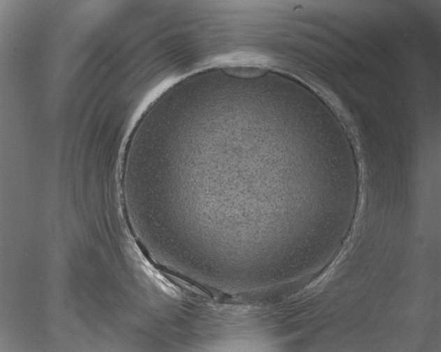 X0000078011248200611031422