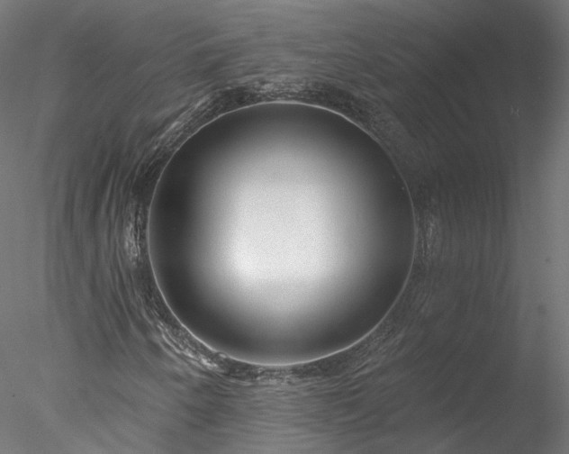 X0000078011250200611031421