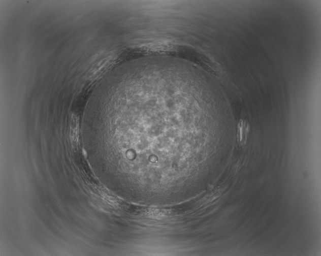 X0000078011251200611031421