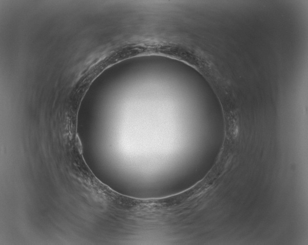 X0000078011253200611031421