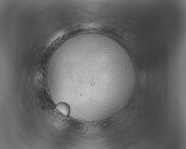 X0000078011254200611031421