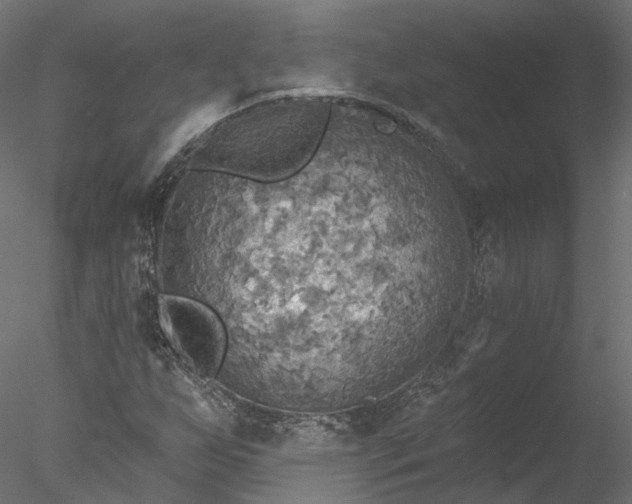 X0000078011255200611031421