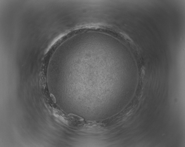 X0000078011256200611031421