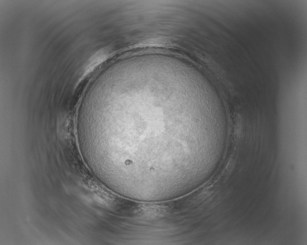 X0000078011258200611031421