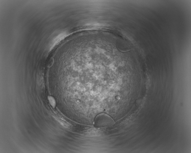 X0000078011259200611031421