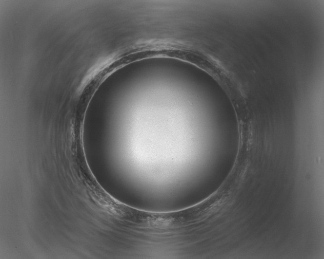 X0000078011261200611031421