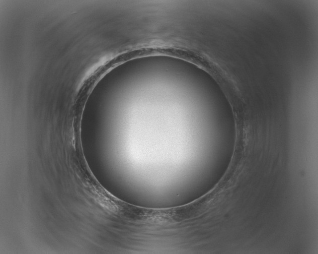 X0000078011262200611031421