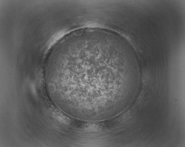 X0000078011263200611031421