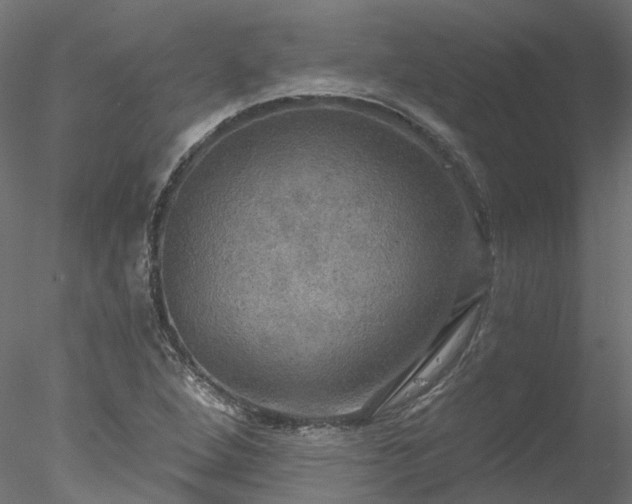 X0000078011264200611031421