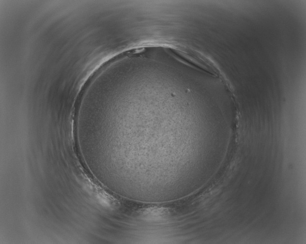 X0000078011268200611031421