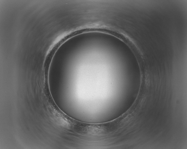 X0000078011270200611031421