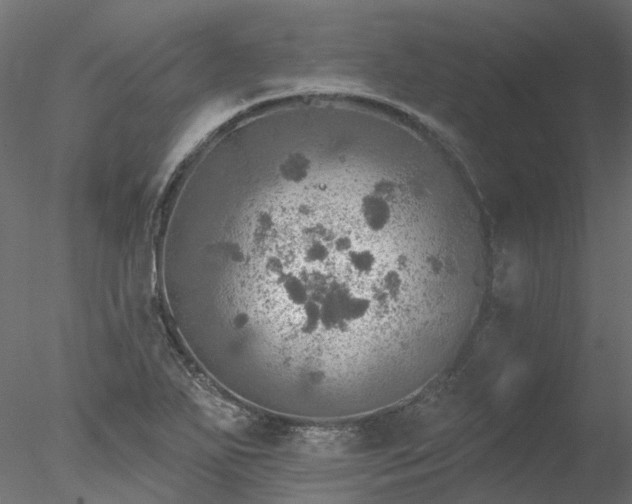 X0000078011271200611031421