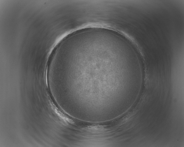 X0000078011272200611031421