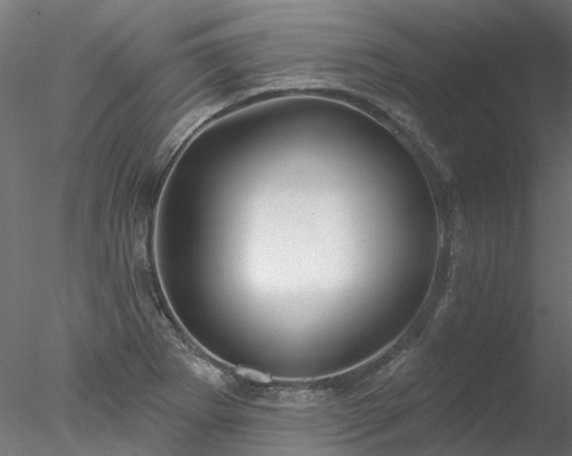 X0000078011273200611031421