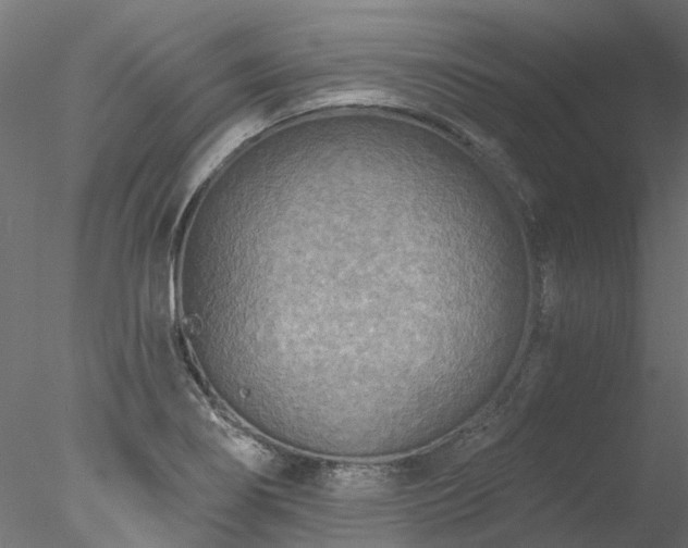 X0000078011274200611031421